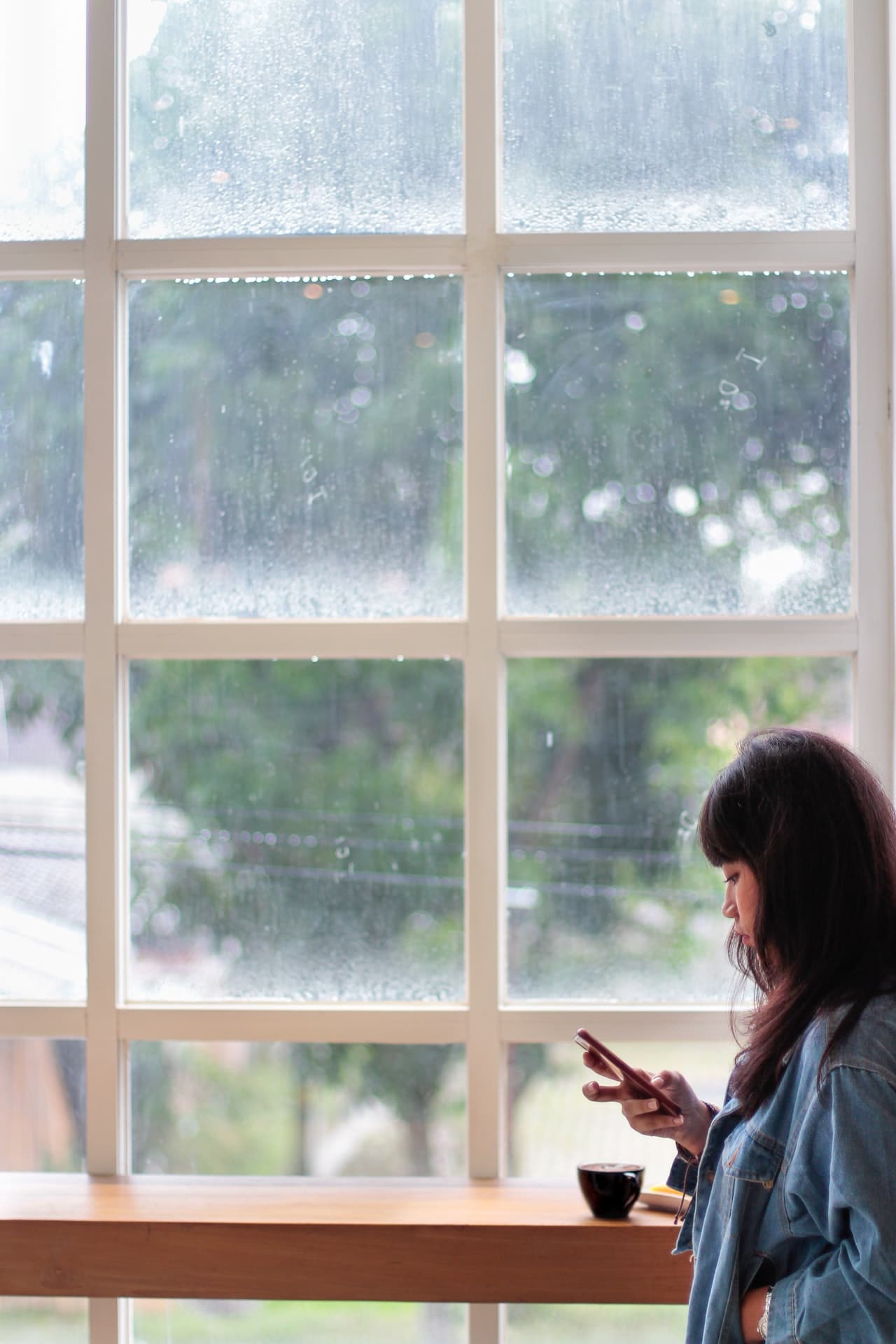 replacement windows and new windows