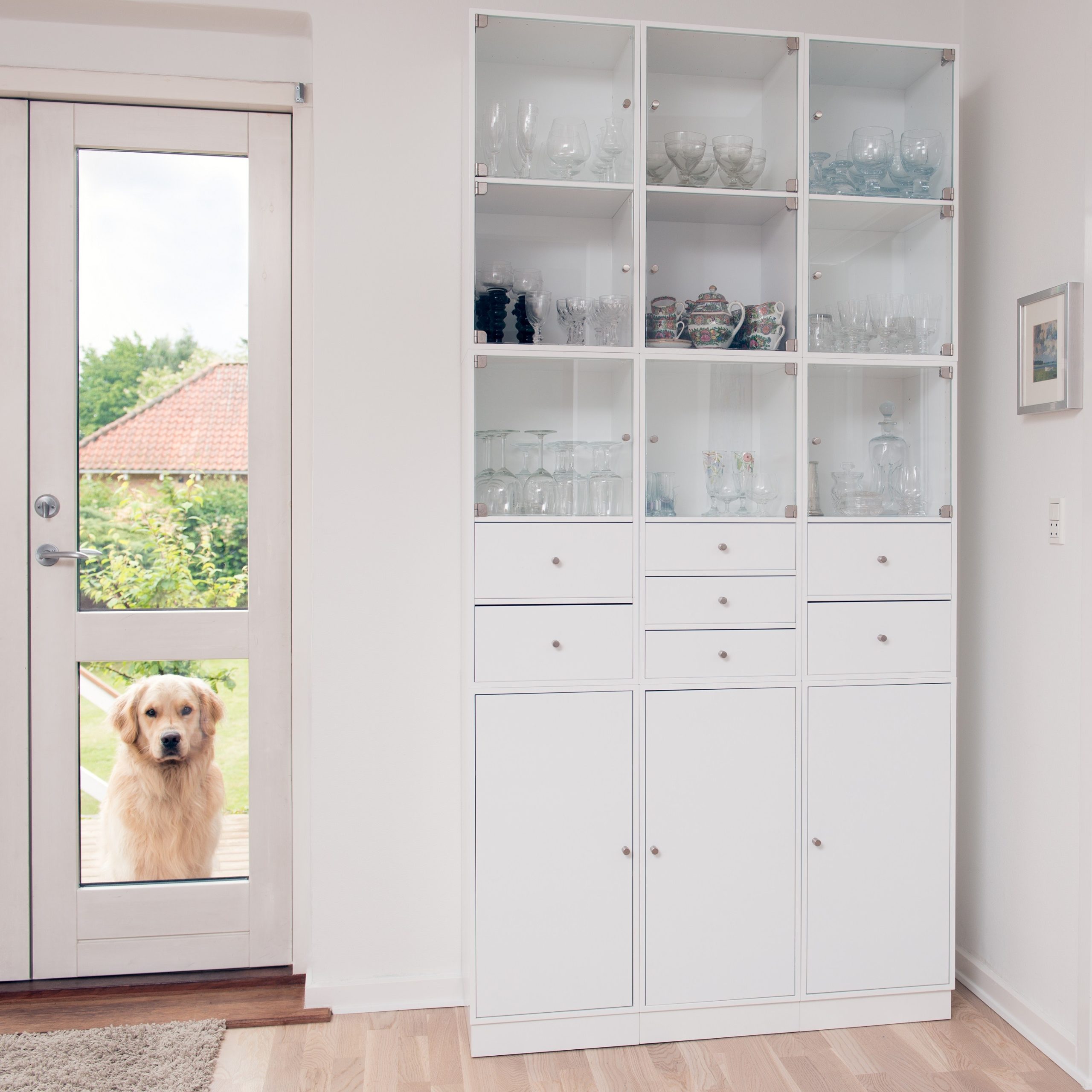 Modern white kitchen display cabinet with glass doors next to patio door with golden retriever looking inside