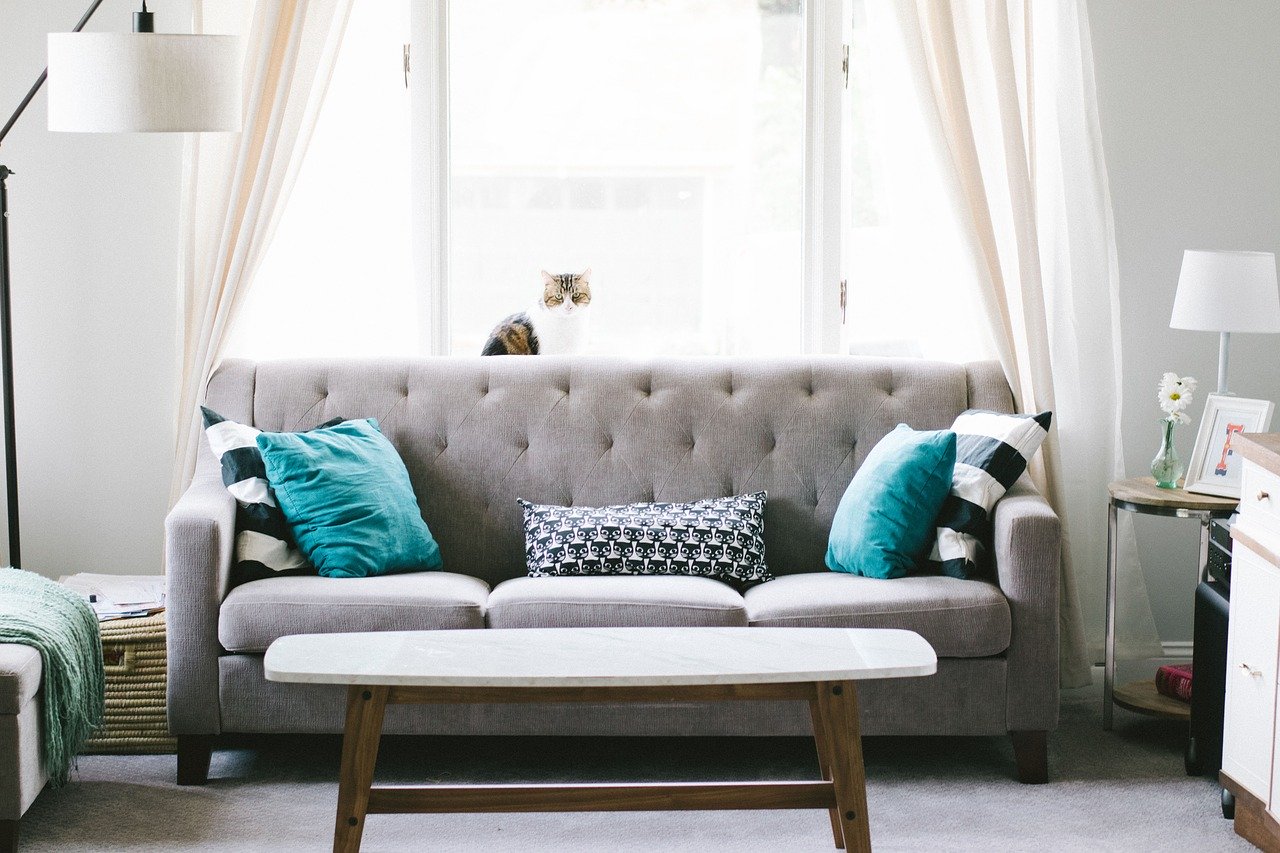 Modern living room with gray sofa, turquoise pillows, and cat by bright windows