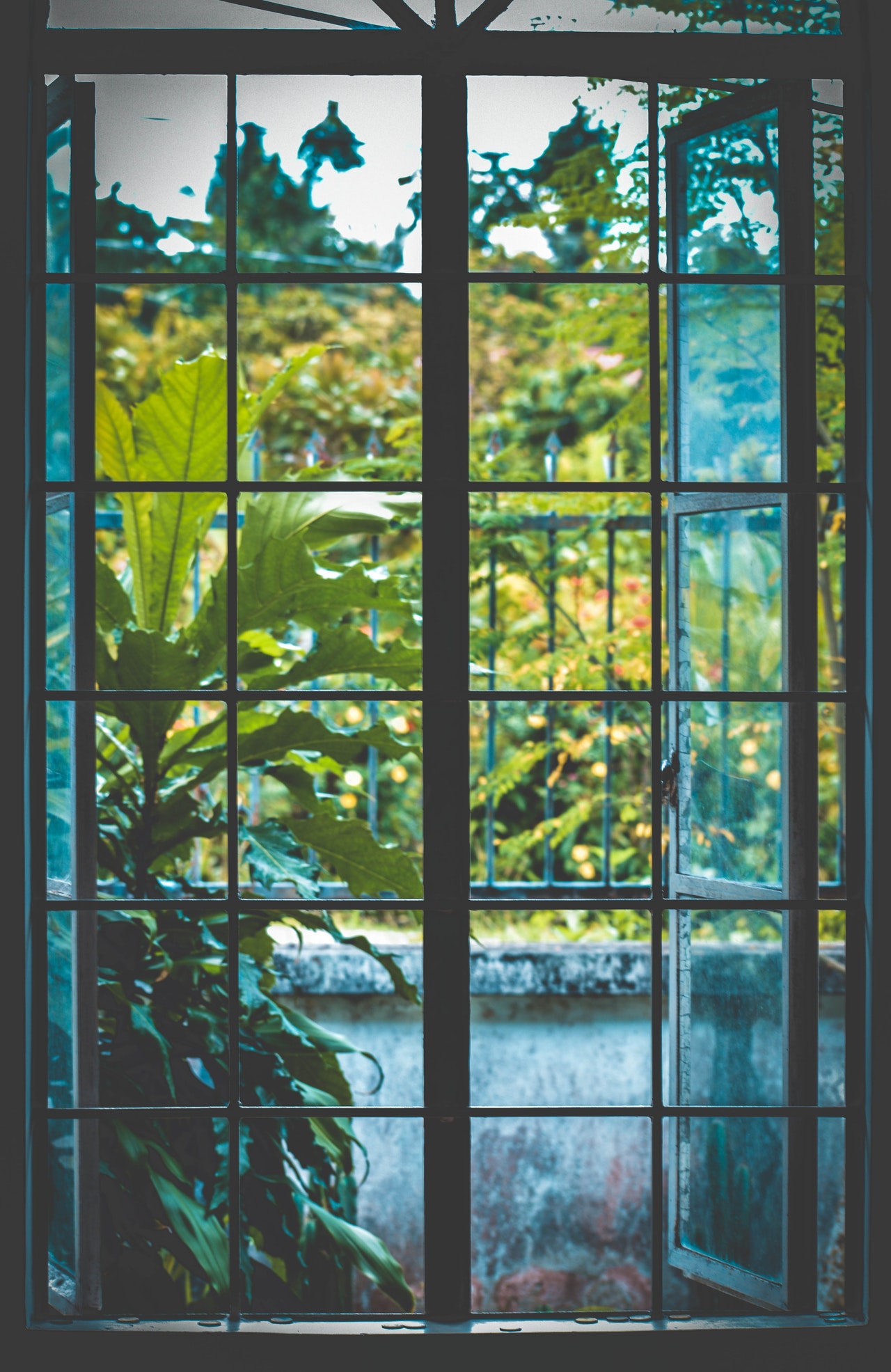Storm Window Installation